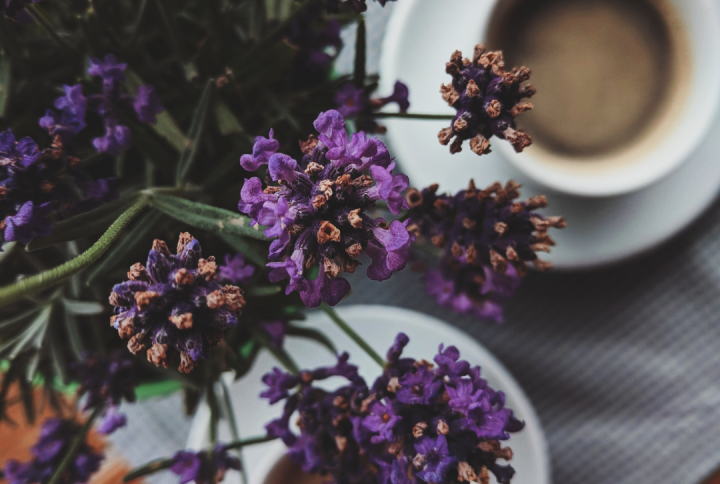 Latte con miel y lavanda